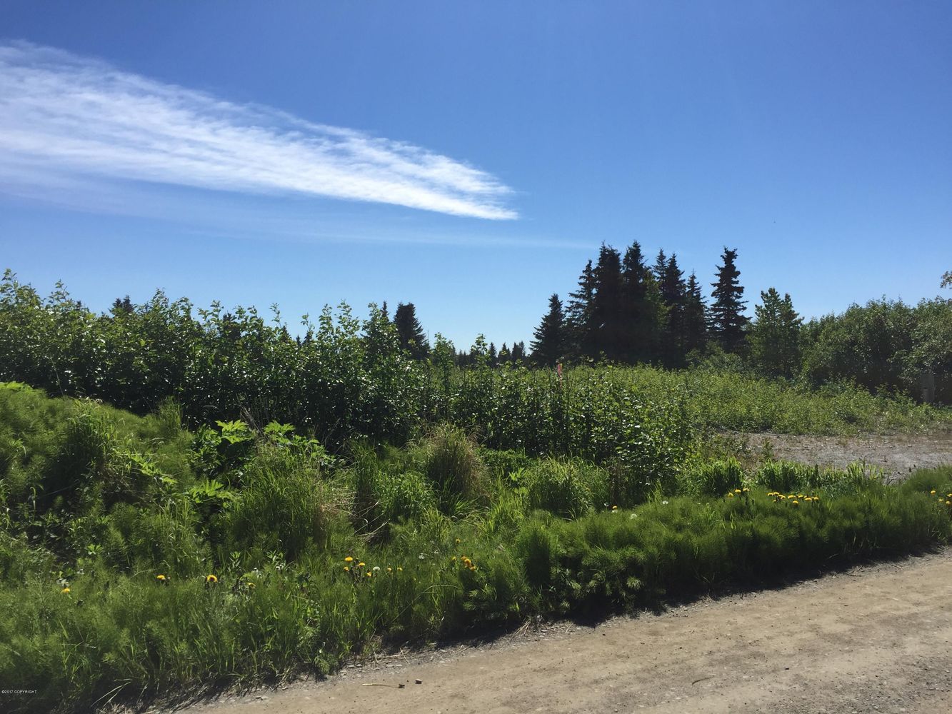 66417 Alder Ave, Ninilchik, AK 99639